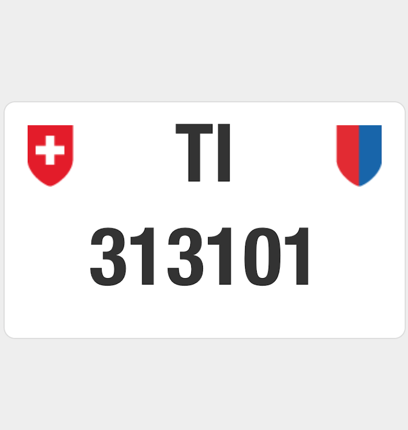 TI 313101